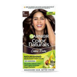 Garnier Color Naturals Cream Hair Color Brown