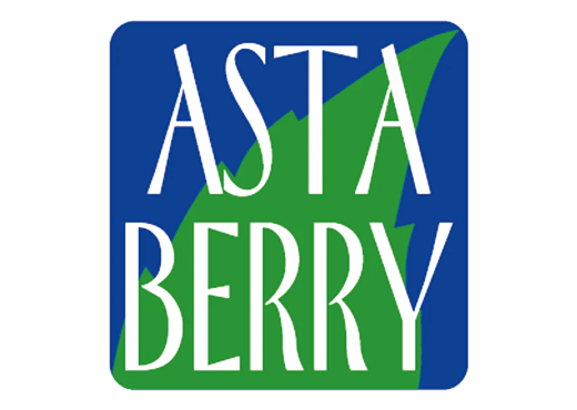 asta-berry-logo - MidyDove Fashion Store - MidyDove Fashion Store